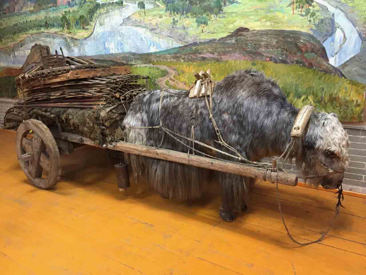 Central Asian Geography: Steppe Zone and Its People