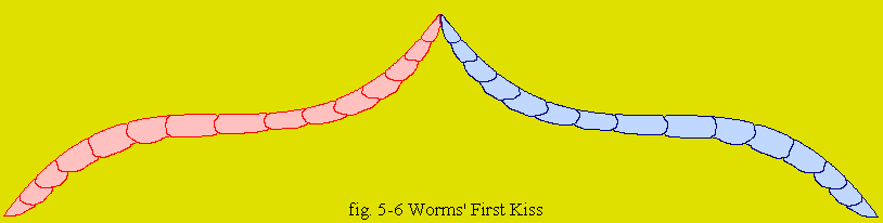 fig 5-6: Worms' First Kiss