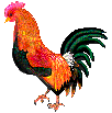 Color graphic of a rooster (ein Farberbild eines Hahn)